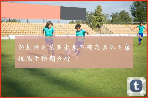 热刺帕利尼亚未来不确定留队可能性低于预期分析
