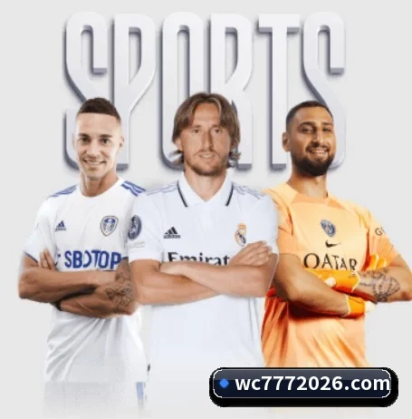 2026世界杯 APP